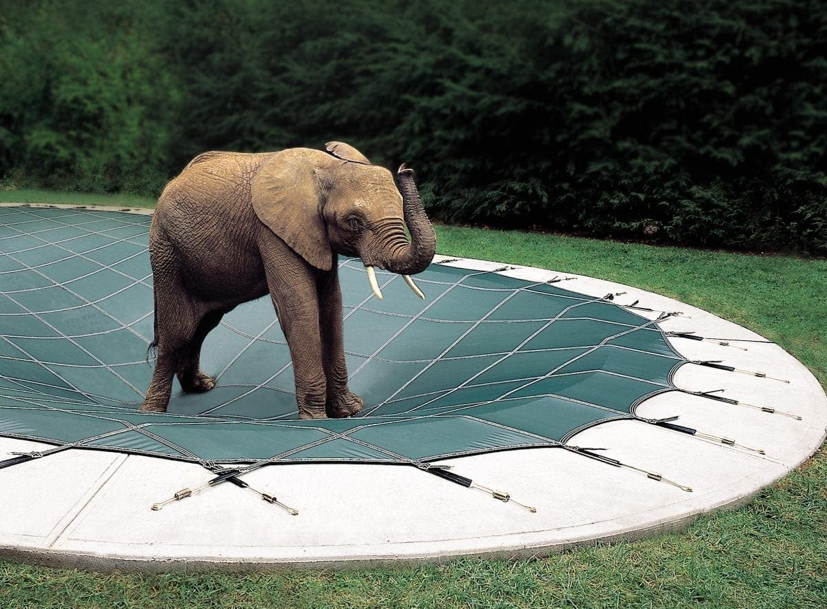 Pool cover demonstration